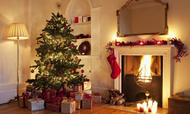 Những loại cây cảnh nên có trong nhà dịp Noel | Cho thuê cây cảnh